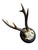 Cabin Roe Deer Trophy 75 Black Forestt Antlers Mount Circa 1903 For Sale - Image 3 of 5