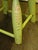 Vintage French Country Lime Green Rustic Footstool Stool W a Child Pictured For Sale - Image 11 of 16