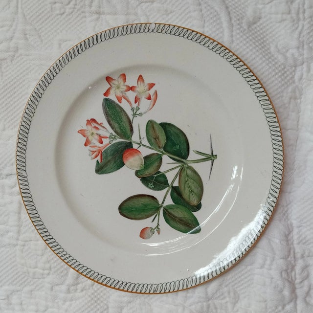 Arts & Crafts Late 19th Century Wedgewood Creamware Botanicals Plates- Set of 3 For Sale - Image 3 of 8