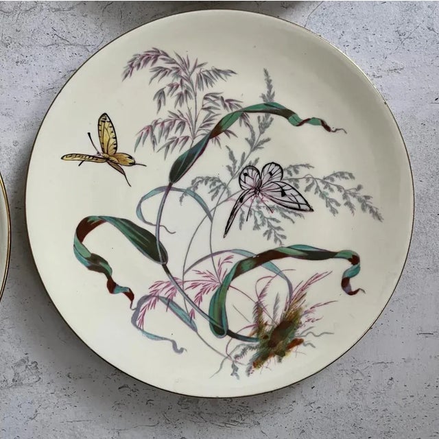 Butterfly Plates by James Green & Nephew, Set of 12 For Sale - Image 6 of 9