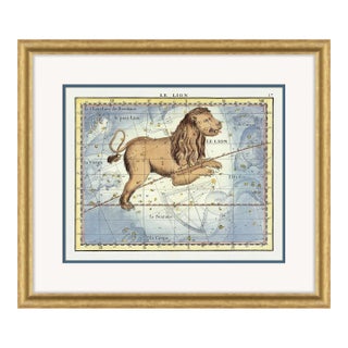 Leo Framed Art Print by David Phoenix For Sale