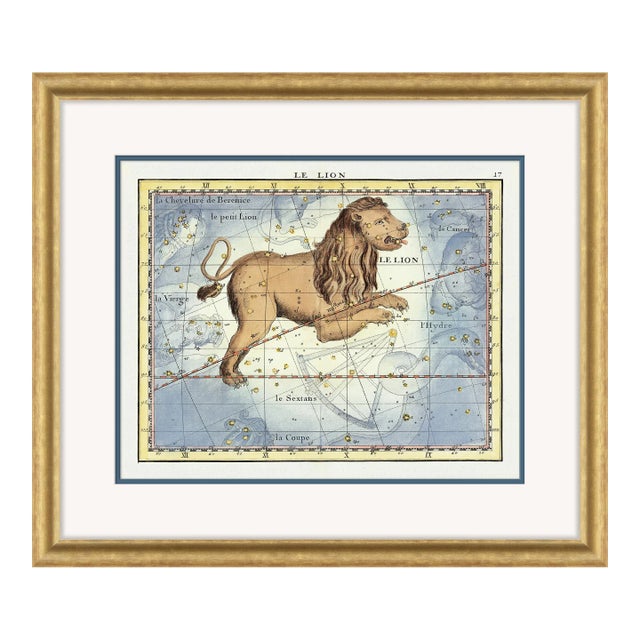 Leo Framed Art Print by David Phoenix For Sale