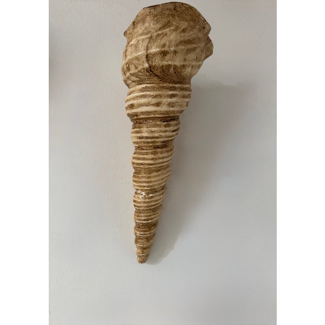 Beige Vintage Shell Wall Sconces in Beige Fiberglass, France, 1960, Set of 2 For Sale - Image 8 of 10