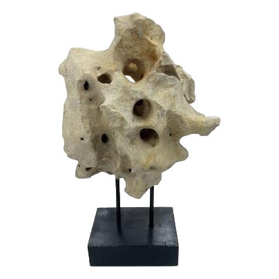 Indonesian Coral Stone On Teak Stand For Sale