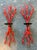 Vintage Coral Branch Wall Candle Sconces- A Pair For Sale - Image 12 of 12