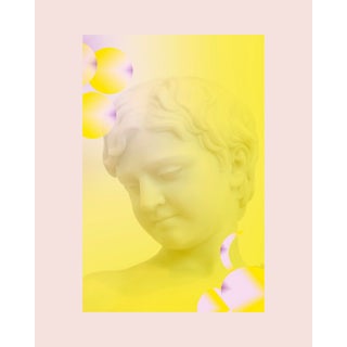 Yellow Gaze Laura Noel Small Photograph