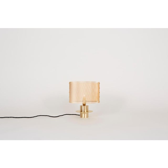 Metal Atahualpa Table Lamp in Brass and Stainless Steel by Marine Breynaert For Sale - Image 7 of 8
