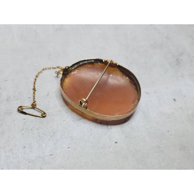Brown Antique Victorian Gold Cameo Brooch of Hebe Feeding the Eagle For Sale - Image 8 of 11