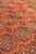 * All of our & vintage rugs are professionally cleaned prior to being listed.* Name: Unique SQUARE Ersari | Burnt Orange,...