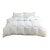 Hotel Luxe Winter Weight European Goose Down Duvet with Cotton Shell, King For Sale