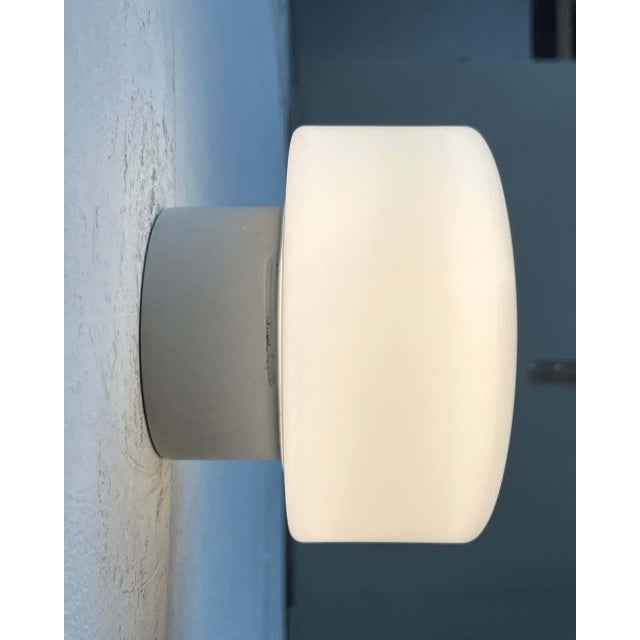 Gray Mid-Century Modern Minimalist German Ceiling Glass Lamps from Kaiser Leuchten, 1960s, Set of 2 For Sale - Image 8 of 18