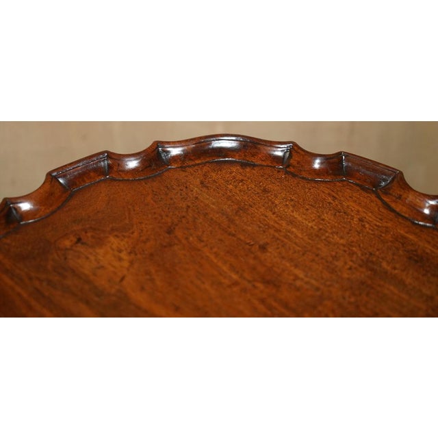 Antique Flamed Hardwood Tripod Table, 1860 For Sale - Image 13 of 18