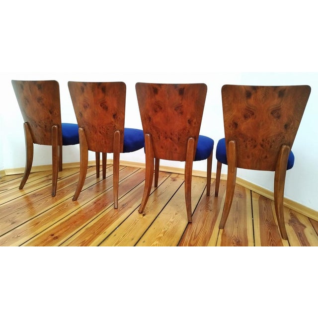 H-214 Chairs attributed to Jindřich Halabala for Up Zavody, 1950s, Set of 4 For Sale - Image 10 of 18