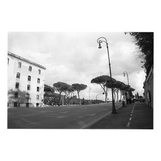 Paul Cooklin, Rome Italy 00029, Edition of 50 For Sale
