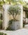 Vintage French Orangerie Style Galvanized Zinc Square Planter Box For Sale - Image 9 of 12