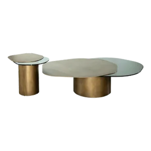 Irregular Shape Set of 2 Modern Organic Coffee Tables