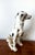 Vintage Ceramic Dalmatian Dog, Italy, 1970s For Sale - Image 9 of 14