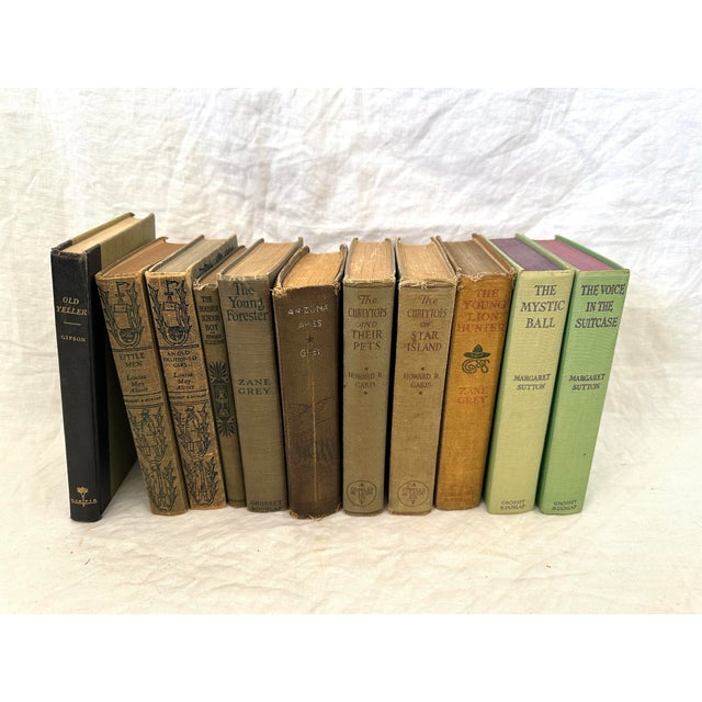 Antique shades of green set of 11 books, perfect for staging bookcases. All vintage books sourced from an Estate sale....