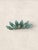 Collection of 9 English Antique Aqua Glass Cod Neck Marble Bottles, Bristol, Circa 1900 For Sale In Tampa - Image 6 of 7