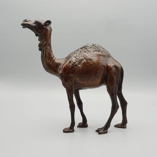 Franz Bergman, Dromedary, 1890s, Bronze For Sale - Image 10 of 10