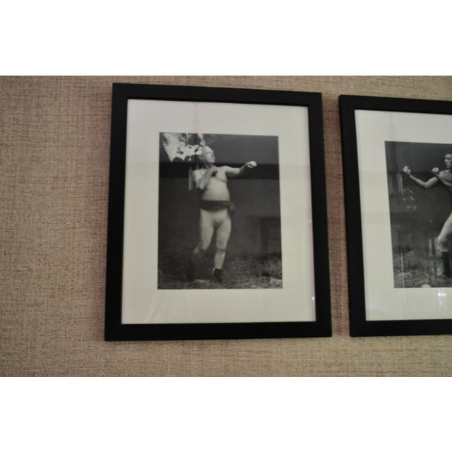 English Early 20th Century Pair Large English Photographs of Boxing Father and Son, Framed For Sale - Image 3 of 5