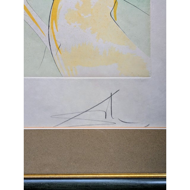 Salvador Dali, Horse Who Wanted to Take Revenge on the Deer, 1974, Drypoint Etching and Stencil, Framed For Sale - Image 4 of 14