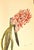 1940 Set of 3 Mid-Century French Arlette Davids Botanical Prints- Hyacinths, Lily For Sale - Image 4 of 10