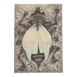 Illustration Art Drawing Depicting a Fly, Signed, French