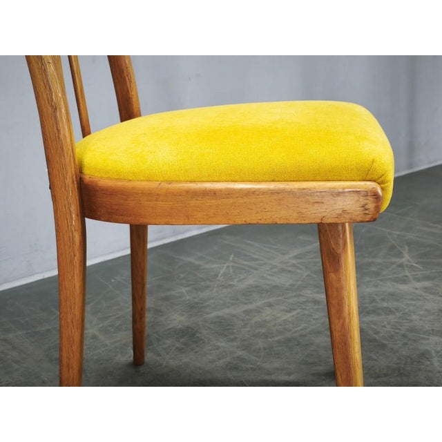 Wood Mid-Century Modern Beech Dining Chairs from TON, Czechoslovakia, 1970s, Set of 4 For Sale - Image 7 of 16