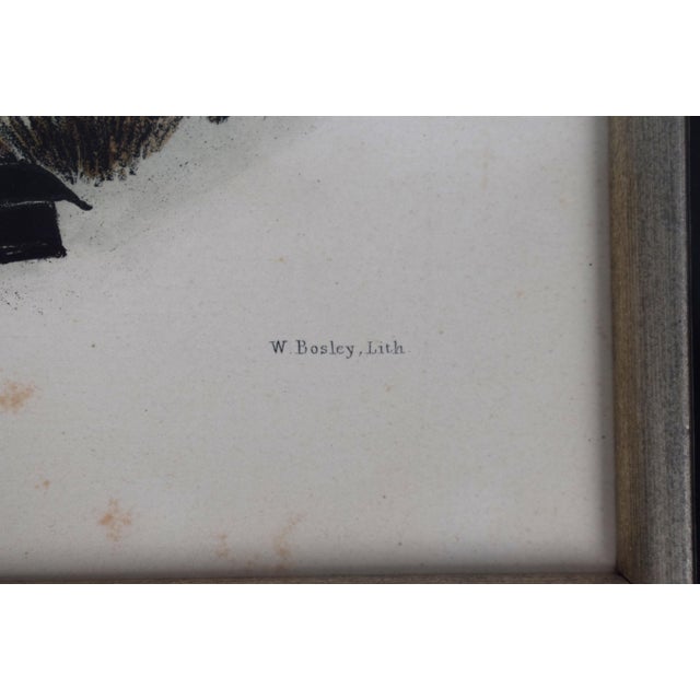 Original Antique Mackinnon Highlander Lithograph by Bosley 1845 Framed Print For Sale In New York - Image 6 of 7