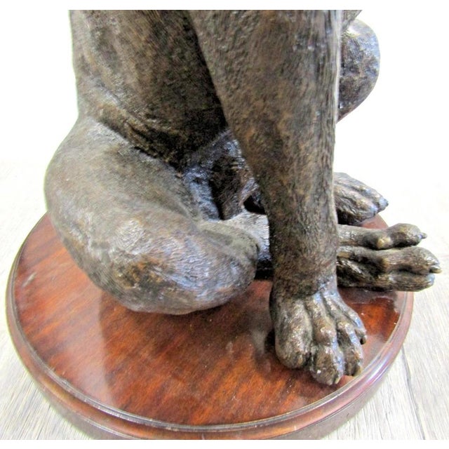 Maitland-Smith Classic Collection 8144-30 Labrador Accent Table For Sale - Image 14 of 15