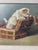 Antique Oil Painting on Board of playful pups in Nice Gold Gilt Frame. You can see how much fun these pups are having....