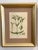 Late 19th Century A Suite of Eight English Botanical Engravings, Late 19th Century For Sale - Image 5 of 13
