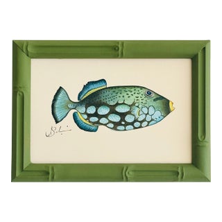 Original Hand-Painted Green Fish Painting in a Handpainted Frame For Sale