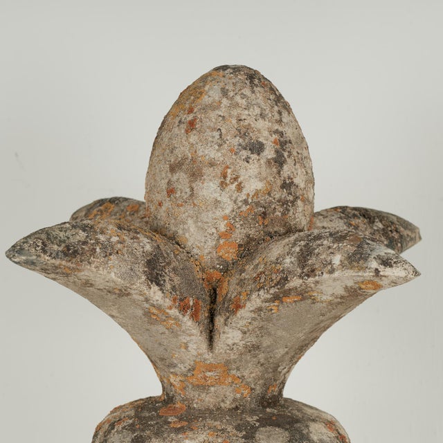 Antique French Carved Stone Fleur De Lis For Sale In West Palm - Image 6 of 9