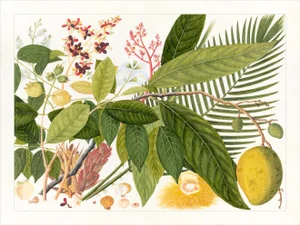 Golden Tropic Botanicals Plate #4, Giclée Print