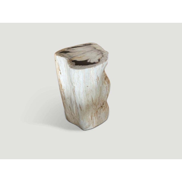 2010s Andrianna Shamaris Modern Organic Minimalist Petrified Wood Side Table For Sale - Image 5 of 5