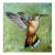 Contemporary Hummingbird, Original Oil on Canvas by L. Richard For Sale