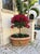 Vintage Italian Tuscan Style Terracotta Oval Planter Trough With Mascaron Relief For Sale - Image 11 of 12