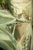 Garden Wind by Nadezda | Oil on Panel Woman in a flowing dress against a green background. For Sale - Image 4 of 5