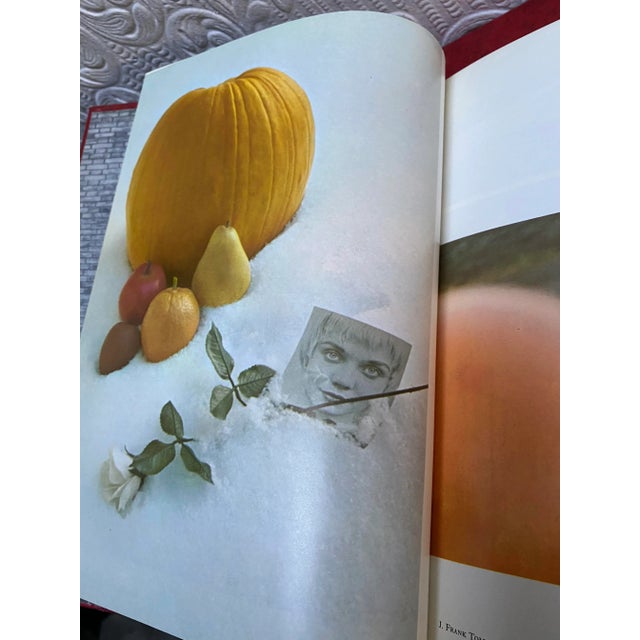 Mid Century 1963 Set of 18 the Encyclopedia of Photography For Sale - Image 9 of 13