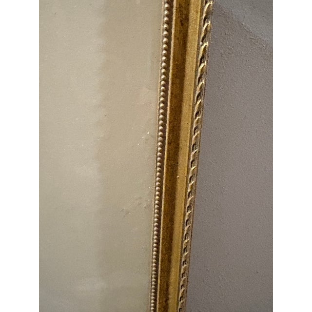 Cream Framed 19th C Hand Colored Engravings of Insects, Reptiles and Shells For Sale - Image 8 of 9