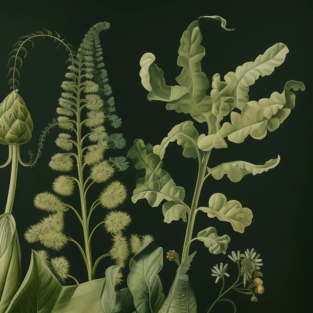 Contemporary Dark Green Antique Botanical Garden Study No. 6 - Natural History Fine Art Print For Sale - Image 3 of 5