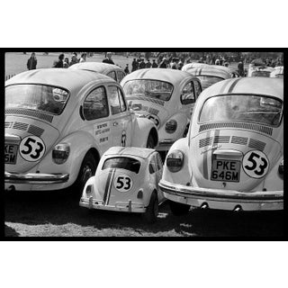 Arthur Steel: Baby Love Bug, Limited Edition Photograph 44 X 30.5” For Sale