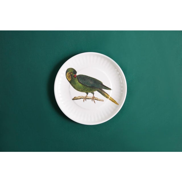 Parrot Large Paper Plates Melamine, Set of 4 For Sale - Image 4 of 4