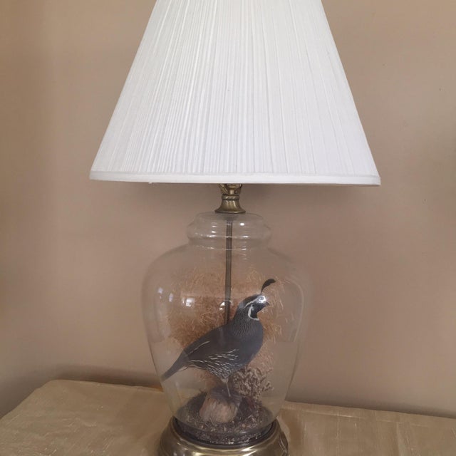 Vintage Quail Taxidermy Lamp Chairish