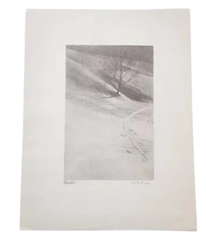D.R. Peretti Griva Original Bromoil Transfer Tree