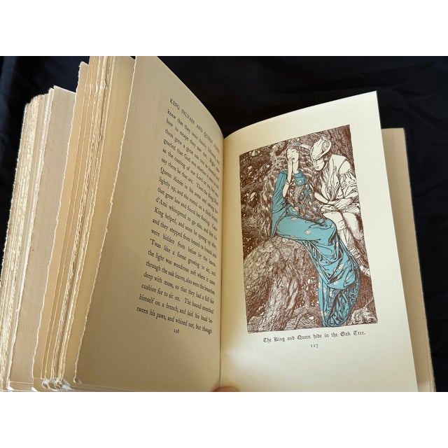 Decorative Antique Art Nouveau Book For Sale - Image 15 of 18