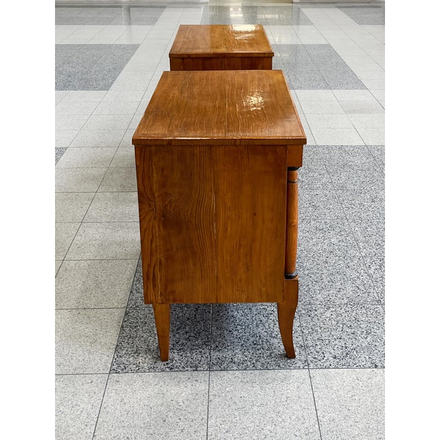 19th Century 19th Century Biedermeier Elm Chests of Drawers - A Pair For Sale - Image 5 of 17