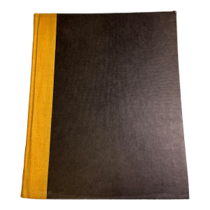 Lost New York Nathan Silver Book